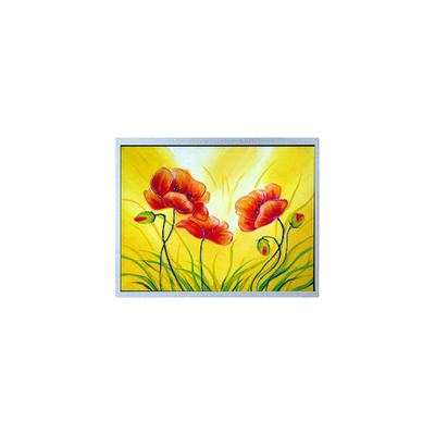 سعر جيد AM-1280800W2TZQW-00H 10.1 بوصة شاشة LCD للخارج عالية الوضوح الانترنت