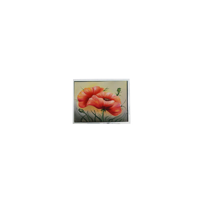 سعر جيد DMF5010NF-FW 240 * 64 5.2 بوصة لوحة LCD الشاشة الصناعية الانترنت