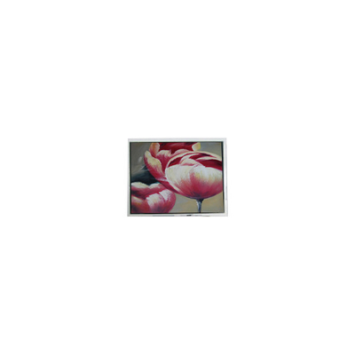 سعر جيد أصل 240*64 DMF5010NF-FW-BE 5.2 بوصة 70 هرتز لوحة LCD الانترنت