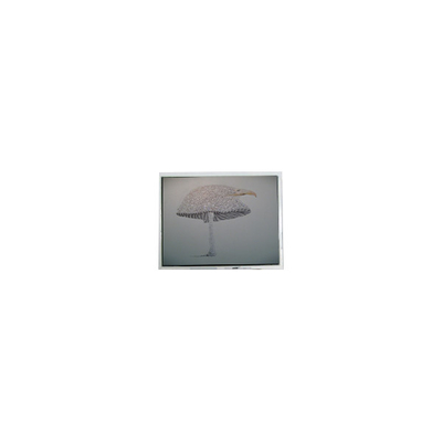 سعر جيد 9.4 بوصة DMF-51043NFU-FW 640*480 شاشة LCD لوحة الانترنت