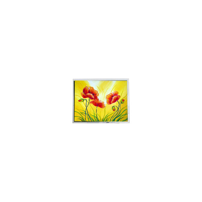 سعر جيد 800*480 T-55711D080J-LW-A-AAN 8.0 بوصة 1000 cd/m2 شاشة LCD الانترنت
