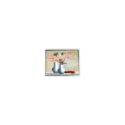 سعر جيد 800*600 12.1 بوصة T-55788GD121J-LW-AGN 30 دبوس LCD لوحة الوحدة الانترنت