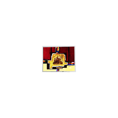 سعر جيد 800*480 HSD050BDW3-A00 5.0 بوصة لوحة عرض LCD الانترنت