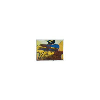 سعر جيد بيع ساخن 800*480 ET070001DM6 7.0 بوصة WLED شاشة LCD أجزاء الانترنت