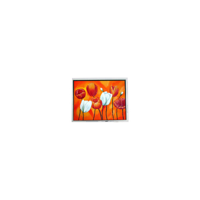 سعر جيد EW50397BCW 4.7 بوصة صغيرة 320*240 75 هرتز شاشة LCD الانترنت