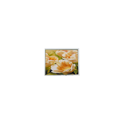 سعر جيد COM50T5123XLC 320*240 5.0 بوصة شاشة LCD العرض للصناعة الانترنت