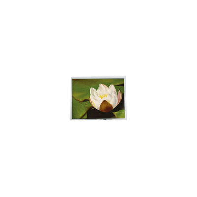 سعر جيد 640*480 5.7 بوصة COM57H5M87KTC 262K 60Hz شاشة LCD لمسة الانترنت