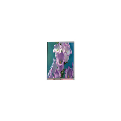 سعر جيد 7.0 بوصة C070AWPE-0 800*480 TFT شاشة LCD LCD لوحة صناعية الانترنت