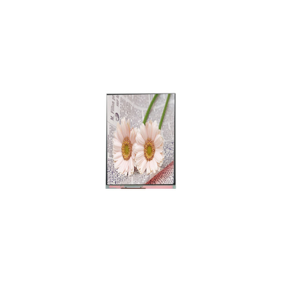 سعر جيد C084GNS1-1 800*600 8.4 بوصة شاشة TFT LCD للصناعات الانترنت