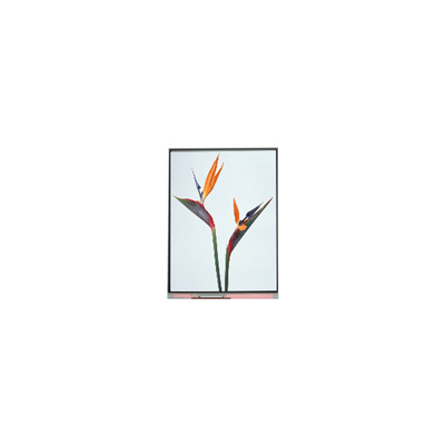 سعر جيد 9.0 بوصة C090NWP1 R0 800 * 480 TFT لوحة العرض LCD الانترنت