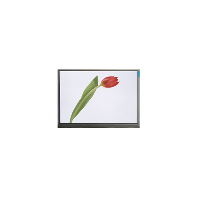 سعر جيد M070SWP1 R0 7.0 بوصة 800 * 480 شاشة TFT LCD شاشة شاشة الانترنت