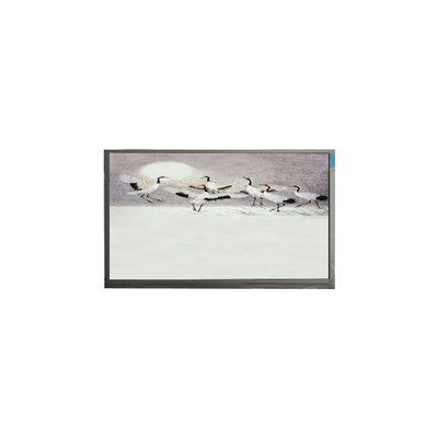 سعر جيد P101GWWF R2 10.1 بوصة 1280 * 800 شاشة شاشة LCD للوحة الانترنت