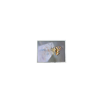 سعر جيد FG050722DSSWDGL2 640*480 5.7 بوصة 20 دبوس أجزاء شاشة LCD الانترنت