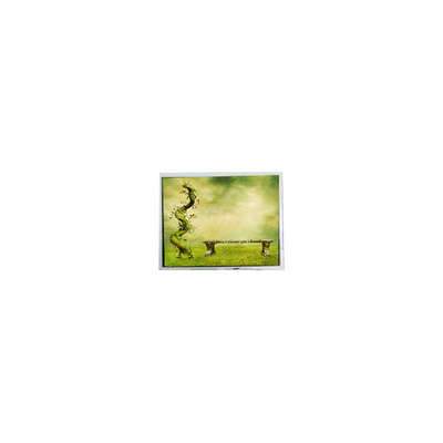 سعر جيد أصل 7.0 بوصة TFT7D0179 600*1024 16.7M شاشة LCD شاشة LCD الانترنت