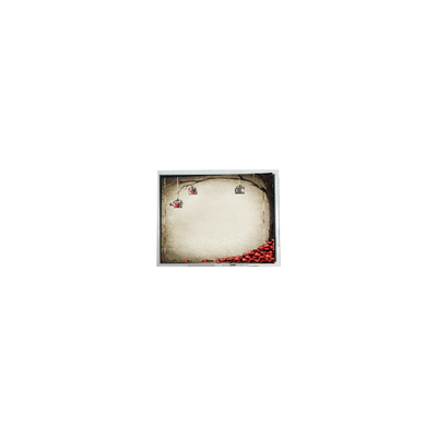 سعر جيد TFT9D6672 6.9 بوصة 800 * 480 600: 1 أجزاء للوحدة الشاشة LCD الانترنت