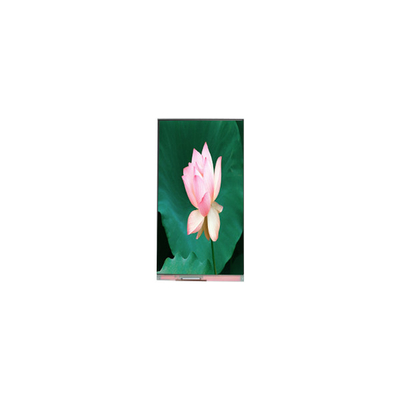 سعر جيد PD064JC-06J 6.4 بوصة 720 * 1560 60 هرتز شاشة LCD الانترنت