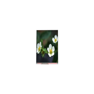 سعر جيد PP055IA-09B 1440*2560 5.5 بوصة 16.7M شاشة LCD الانترنت