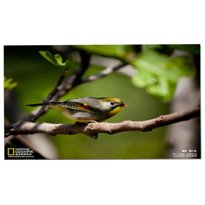 سعر جيد 24.0 بوصة 1920*1200 M240UAN02.1 شاشة LCD للخلية الانترنت