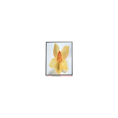 سعر جيد C050SWAN-0 5.0 بوصة 720*1280 شاشة LCD الانترنت