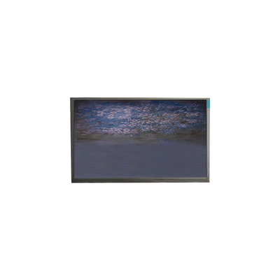 سعر جيد U055SWRA-1 5.5 بوصة لوحة شاشة LCD 720 * 1440 وحدة عرض LCD الانترنت