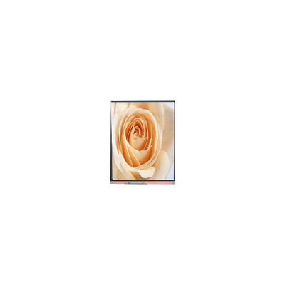 سعر جيد C050SWAF-0 5.0 بوصة 720 * 1280 لوحة شاشة LCD الانترنت