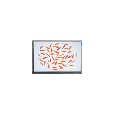 سعر جيد C116NWR4-0 11.6 بوصة 1366 * 768 شاشة LCD IPS الانترنت
