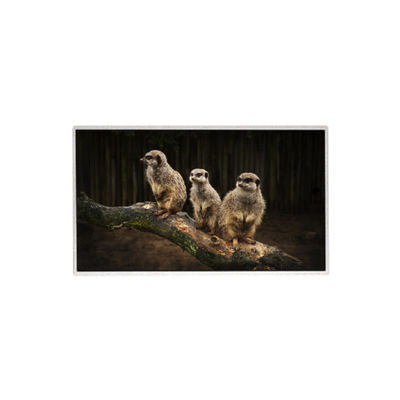 سعر جيد HR236WU1-310 23.6 بوصة 1920*1080 شاشة LCD TFT لوحة LCD الانترنت