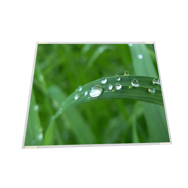AUO 19 &quot;M190EG02 V4 (B) 1280 * 1024 a-Si TFT-LCD ، لوحة شاشة LCM