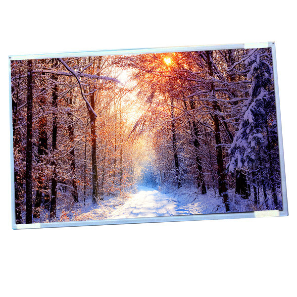 شاشة AUO G220SW01 V0 22.0 بوصة IPS LCD شاشة عريضة بدقة 1680 (RGB) × 1050