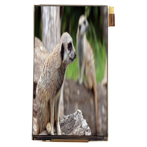 LQ055K3SX02 5.5 بوصة LCD Module واجهة 720*1280 شاشة LCD لشاشة السيارة