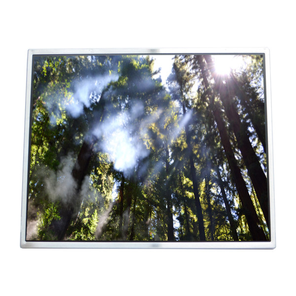 LTM190M2-L01 شاشة LCD 19.0 بوصة شاشة LVDS 30Pins وحدة توصيل LCD