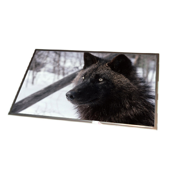 B121EW01 V2 12.1 بوصة 1280 * 800 شاشة LVDS TFT-lcd للكمبيوتر المحمول