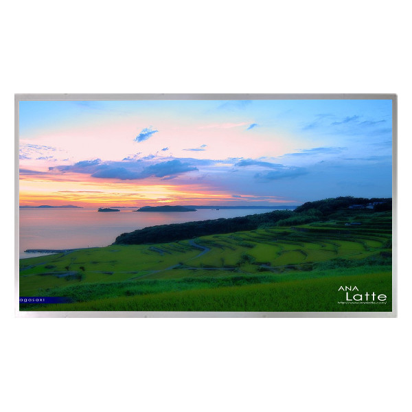 LM230W01-A2 23.0 بوصة a-Si TFT-LCD لوحة 1920 * 1200 شاشة LCD