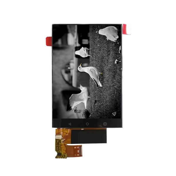 6.1 بوصة 720*1560 BV061X6Q-N10-8Q01 شاشة LCD للهاتف المحمول
