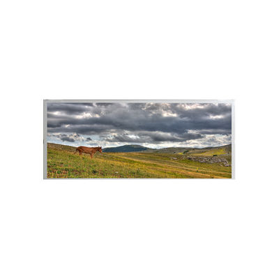 سعر جيد AMPIRE 19.1 بوصة شاشة LCD صناعية AM-1920360ATZQW-00 الانترنت