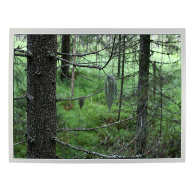 سعر جيد شاشة LCD مقاس 12.1 بوصة 82ppi LQ121S1LG79 شاشة LCD صناعية TFT الانترنت