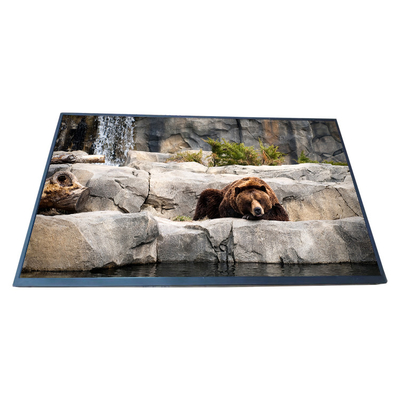 سعر جيد شاشة LCD الأصلية BOE EV238FHM-N13 مقاس 23.8 بوصة بدقة 1920 * 1080 شاشة عرض LCD الانترنت