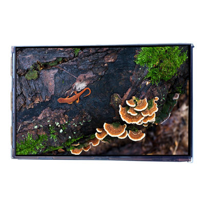 سعر جيد VVX07H005A00 7.0 بوصة 450 cd/m2 لوحة عرض شاشة LCD الانترنت