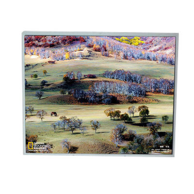 سعر جيد LM200WD1-TLA9 20.0 بوصة 1600 * 900 شاشة LCD TFT الانترنت