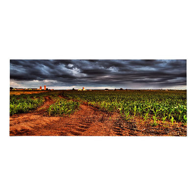 سعر جيد LM340UW6-SSA3 34.0 بوصة لوحة LCD 3440*1440 شاشة LCD الانترنت