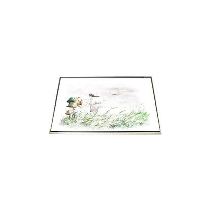 سعر جيد LP173WD1-TLA3 17.3 بوصة 1600 * 900 وحدة شاشة LCD الانترنت