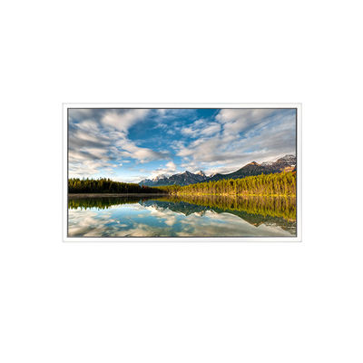 سعر جيد 55 بوصة DV550FHB-N30 1920*1080 شاشة LCD للشاشة الشفافة الانترنت