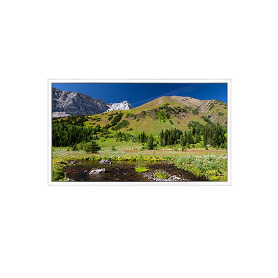 سعر جيد DV550QUB-N20 3840*2160 55 بوصة شاشة LCD للإشارات الرقمية الانترنت