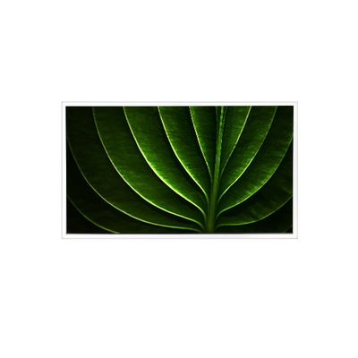 سعر جيد TAD201-001 20.1 بوصة 1600*1200 450 cd/m2 60Hz شاشة LCD للصناعية الانترنت