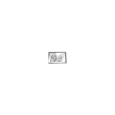 سعر جيد 8.8 بوصة 768*768 TPA088-001V02 16.7M 71% NTSC لوحة LCD للصناعات الانترنت