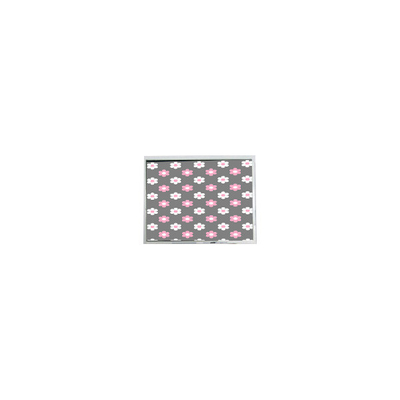 سعر جيد AM-800480L6TMQW-00H 800*480 5.0 بوصة 800 cd/m2 شاشة لوحة LCD الانترنت