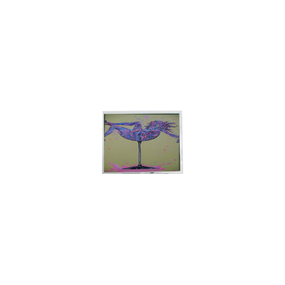 سعر جيد 800*480 5.0 بوصة AM-800480LTMQW-W0H 470 cd/m2 شاشة عرض LCD الانترنت