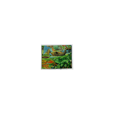 سعر جيد 800*480 5.0 بوصة AM-800480NGTZQW-01H 45 دبوس لوحة شاشة LCD WLED الانترنت