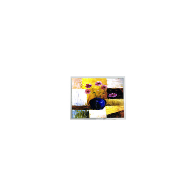 سعر جيد بيع ساخن 9.4 بوصة DMF50260NF-FW-18 640*480 15 دبوس شاشة LCD الانترنت