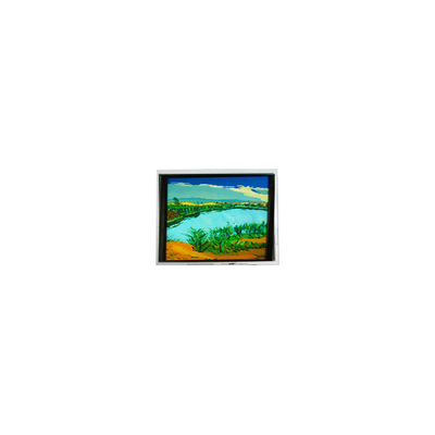 سعر جيد DMF-50316NF-FW-1 240*64 5.2 بوصة 130 cd/m2 شاشة LCD الانترنت